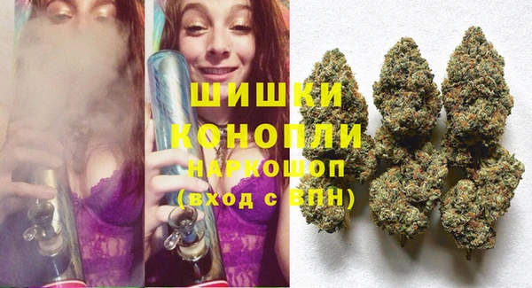 твердый Аркадак