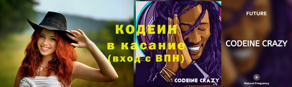 твердый Аркадак
