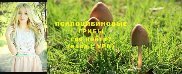 mdpv Армянск